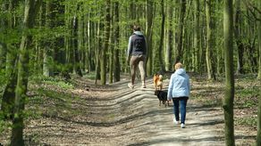 Mieszkańcy Lublina ruszyli do parków i lasów. Kiedy zostanie otwarty Ogród Botaniczny?