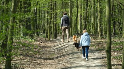 Mieszkańcy Lublina ruszyli do parków i lasów. Kiedy zostanie otwarty Ogród Botaniczny?