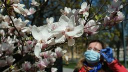 Lublin pełen kwiatów. Będzie można je podziwiać od poniedziałku