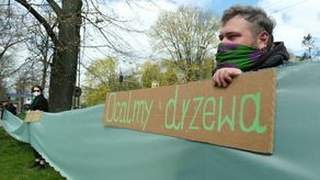 Na ulicy dzisiejsza akcja ograniczyła się do krótkiej, przedpołudniowej konferencji prasowej, której uczestnicy rozwinęli zieloną wstęgę i stanęli z tabliczkami z napisem „Ocalmy drzewa”