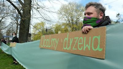 Na ulicy dzisiejsza akcja ograniczyła się do krótkiej, przedpołudniowej konferencji prasowej, której uczestnicy rozwinęli zieloną wstęgę i stanęli z tabliczkami z napisem „Ocalmy drzewa”