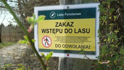 Jak długo będzie obowiązywał zakaz wstępu do lasów?