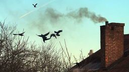 Zdjęcie ilustracyjne