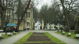 Nałęczów Aleja Kasztanowa