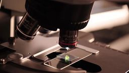 Zdjęcie ilustracyjne