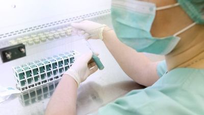 Materiał ilustracyjny