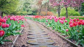 Krasnobród: Powstanie ogród sensoryczny przy szkole w Majdanie Wielkim