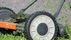 Zdjęcie ilustracyjne