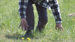 Policjanci apelują, aby uważać na pijanych pieszych, którzy stwarzają duże zagrożenie dla innych uczestników ruchu zwłaszcza po zmroku