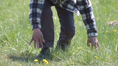 Policjanci apelują, aby uważać na pijanych pieszych, którzy stwarzają duże zagrożenie dla innych uczestników ruchu zwłaszcza po zmroku