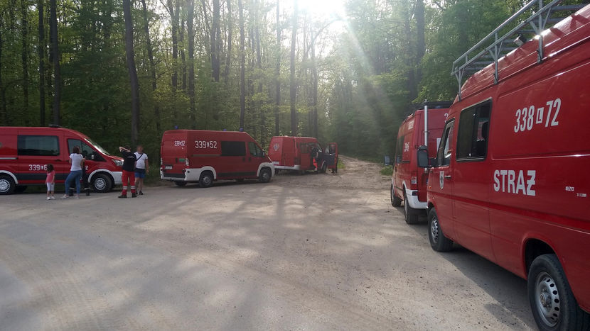 Dzisiaj strażacy przeczesywali las Stary Gaj od strony Zemborzyc