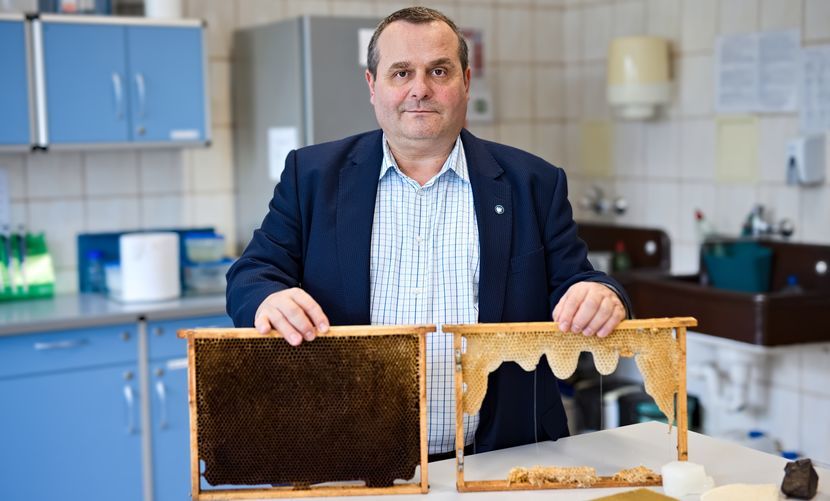 Woskomat jest urządzeniem, które wprowadzi nowe standardy na rynek pszczeli. Wosk jest naturalnym wytworem pszczół, który ludzie zaczęli zanieczyszczać, dodając między innymi parafinę, stearynę czy nawet wosk kopalny - tłumaczy prof. dr hab. Mariusz Gagoś z UMCS.