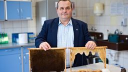 Woskomat jest urządzeniem, które wprowadzi nowe standardy na rynek pszczeli. Wosk jest naturalnym wytworem pszczół, który ludzie zaczęli zanieczyszczać, dodając między innymi parafinę, stearynę czy nawet wosk kopalny - tłumaczy prof. dr hab. Mariusz Gagoś z UMCS.