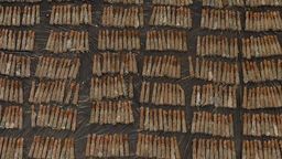 Amunicja została wykopana na jednej z posesji w gminie Komarów-Osada 