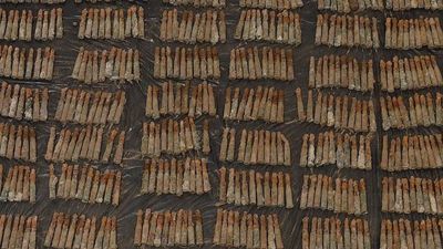 Amunicja została wykopana na jednej z posesji w gminie Komarów-Osada 