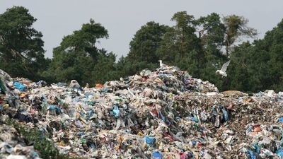 Zdjęcie ilustracyjne