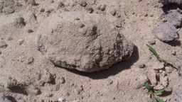 Znaleziono niewybuch z czasów II wojny światowej. Zajęli się nim saperzy