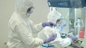 W całej Polsce 240 nowych przypadków koronawirusa. Najwięcej w woj. śląskim