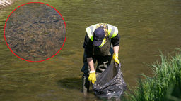 Wyciągają setki butelek z dna Łabuńki w Zamościu [zdjęcia]