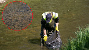 Wyciągają setki butelek z dna Łabuńki w Zamościu [zdjęcia]