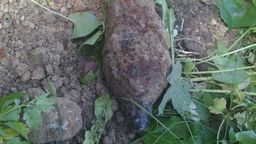 Niewybuchy w centrum Lublina