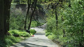 Zimni ogrodnicy dadzą nam w kość. Zmiana pogody od wtorku 12 maja