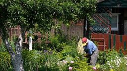 ogródki działkowe przy al. Unii Lubelskiej/zdjęcie ilustracyjne 