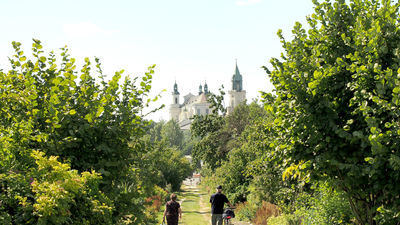 Gdy w połowie marca cała Polska została zamknięta w domach, działkowcy w czterech ścianach siedzieć nie musieli. Rodzinnych Ogródków Działkowych wprowadzone przez rząd ograniczenia nie obowiązywały. 3 kwietnia 2020 r. Krajowy Zarząd Polskiego Związku Działkowców nawet wydał w tej sprawie komunikat. Na działce nie ma też obowiązku noszenia maseczki