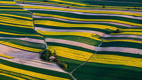 Roztocze. Zdjęcie, które zachwyciło internautów