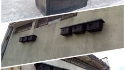 Biała Podlaska zaprasza do miasta ptaki. Korzyść ma być obopólna