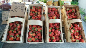 Wiele wskazuje na to, że w tym roku ceny truskawek będą wyjątkowo wysokie. Nie tylko przez wyższe stawki za pracę w polu.