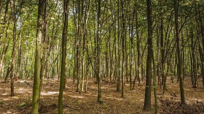 Zdjęcie ilustracyjne