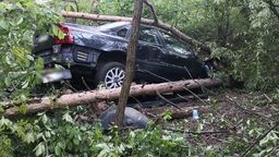 Gołąb: Groźny finał szybkiej jazdy. Jeden wypadł z wału, drugi wjechał w krzaki