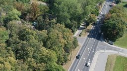 Zaczyna się przegląd przydrożnych drzew na ulicach Lublina