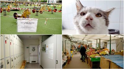 Od lewej na górze: Plac Litewski; Zuzyk wczoraj spędził 962 dzień w schronisku
Od lewej na dole: Zakład Fizjoterapii SPSK4; Targ „Rynek Bronowice”