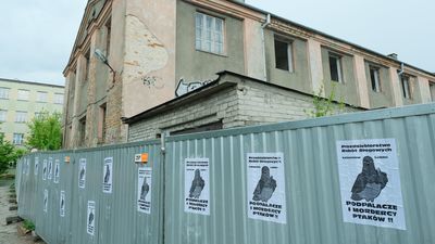 Lublin: Autor plakatów oskarża drogowców o mord na ptakach. Jest reakcja firmy