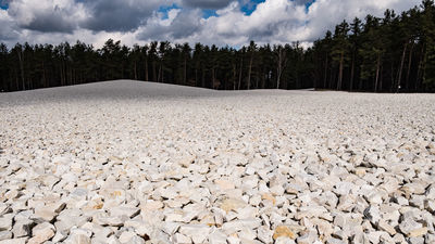 Tak wygląda polana masowych mogił. Powstaje wystawa w Muzeum i Miejscu Pamięci w Sobiborze