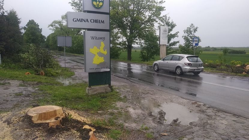 W granicach miasta – wzdłuż drogi wojewódzkiej nr 844 z Chełm-Hrubieszów – drzewa znikną aż do Kamienia. Większość z nich ma po kilkadziesiąt lat i rośnie w pasie drogowym. Teraz zostaną ścięte.