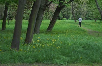 W ubiegłym roku w całej Polsce stwierdzono ok. 21 tysięcy nowych przypadków boreliozy. W tym roku na tę chorobę zachorowało już ok. 3 tysięcy osób