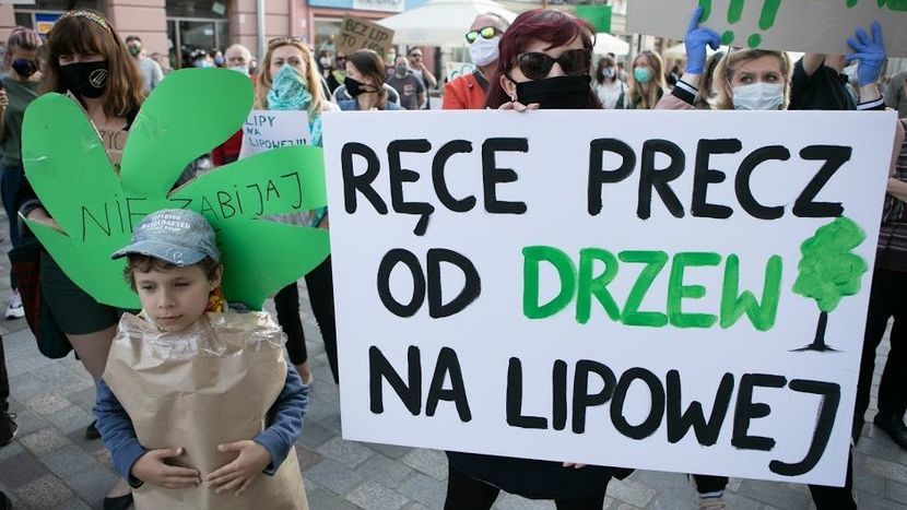 4 czerwca br. w centrum Lublina odbyła się demonstracja przeciw usuwaniu drzew z przebudowywanej ul. Lipowej.