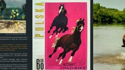 Konie na ścianie bialskiego liceum. Kiedy powstanie mural? 