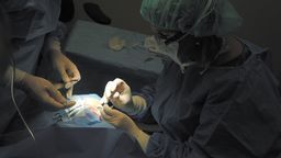 Młodzi lekarze oburzają się na zmiany zasad przyjęć na specjalizację. "To furtka do nadużyć"