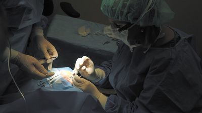 Młodzi lekarze oburzają się na zmiany zasad przyjęć na specjalizację. "To furtka do nadużyć"