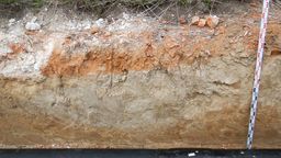 Wykop, w którym znaleziono kości