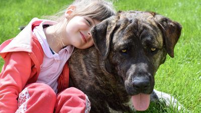 Uczniowie z woj. lubelskiego pomagają zwierzętom i nie zgadzają się na wycinkę drzew