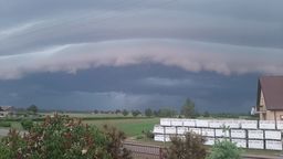 Powiat bialski: Silny wiatr zrywał dachy