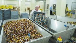 Fabryka Cukierków „Pszczółka”