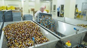 Fabryka Cukierków „Pszczółka”