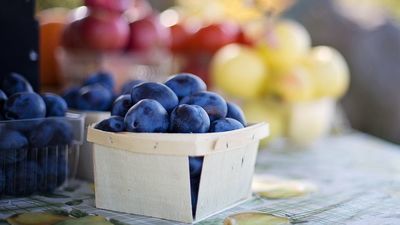 Zdjęcie ilustracyjne