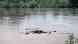 Ostatnia duża fala przez Wisłę przeszła pod koniec maja ubiegłego roku. Wtedy w kulminacyjnym momencie wodowskaz w Puławach pokazał głębokość 6,5 metra. Tegoroczna fala ma być o metr niższa